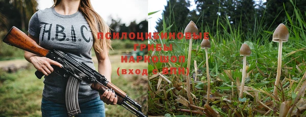 соль курить ск Лагань
