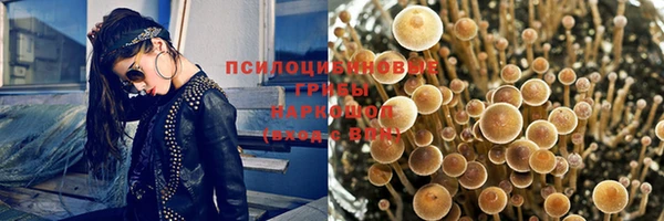 соль курить ск Лагань