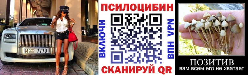 Галлюциногенные грибы прущие грибы  купить наркотик  Волгоград 