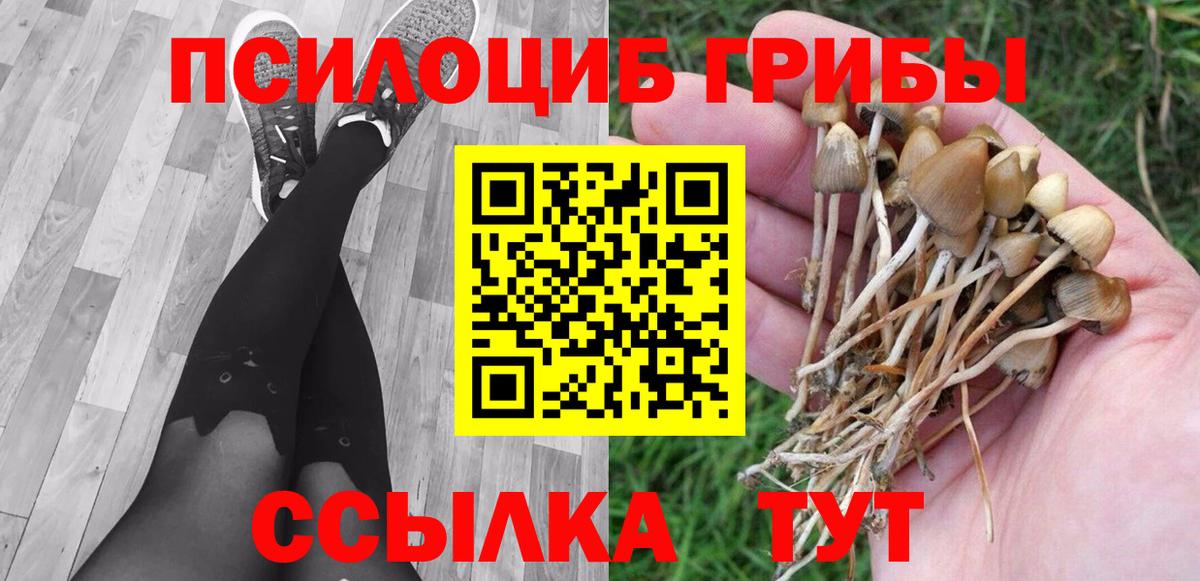 Псилоцибиновые грибы MAGIC MUSHROOMS  Галлюциногенные грибы ЛСД  Волгоград 