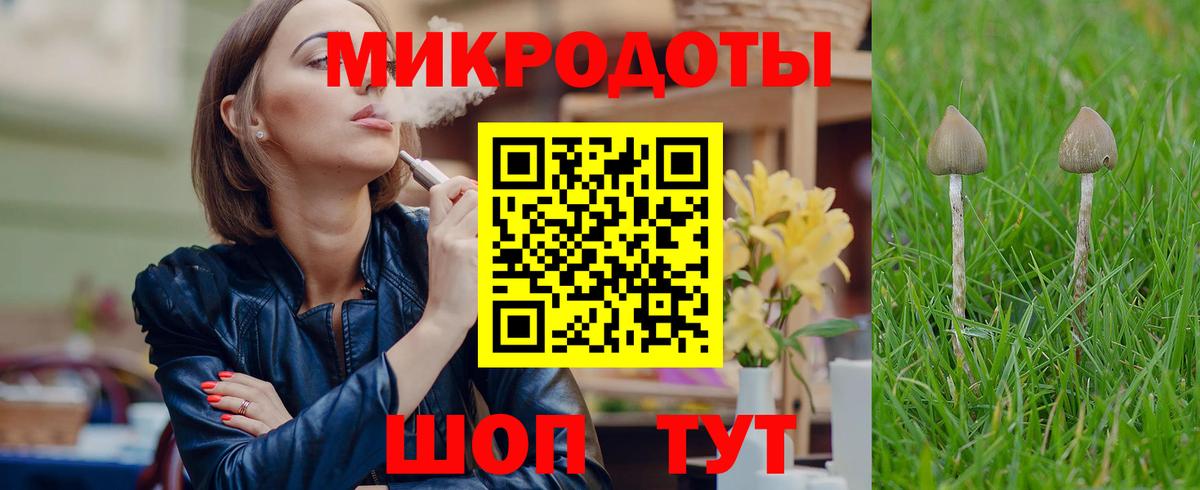 Псилоцибиновые грибы прущие грибы Волгоград